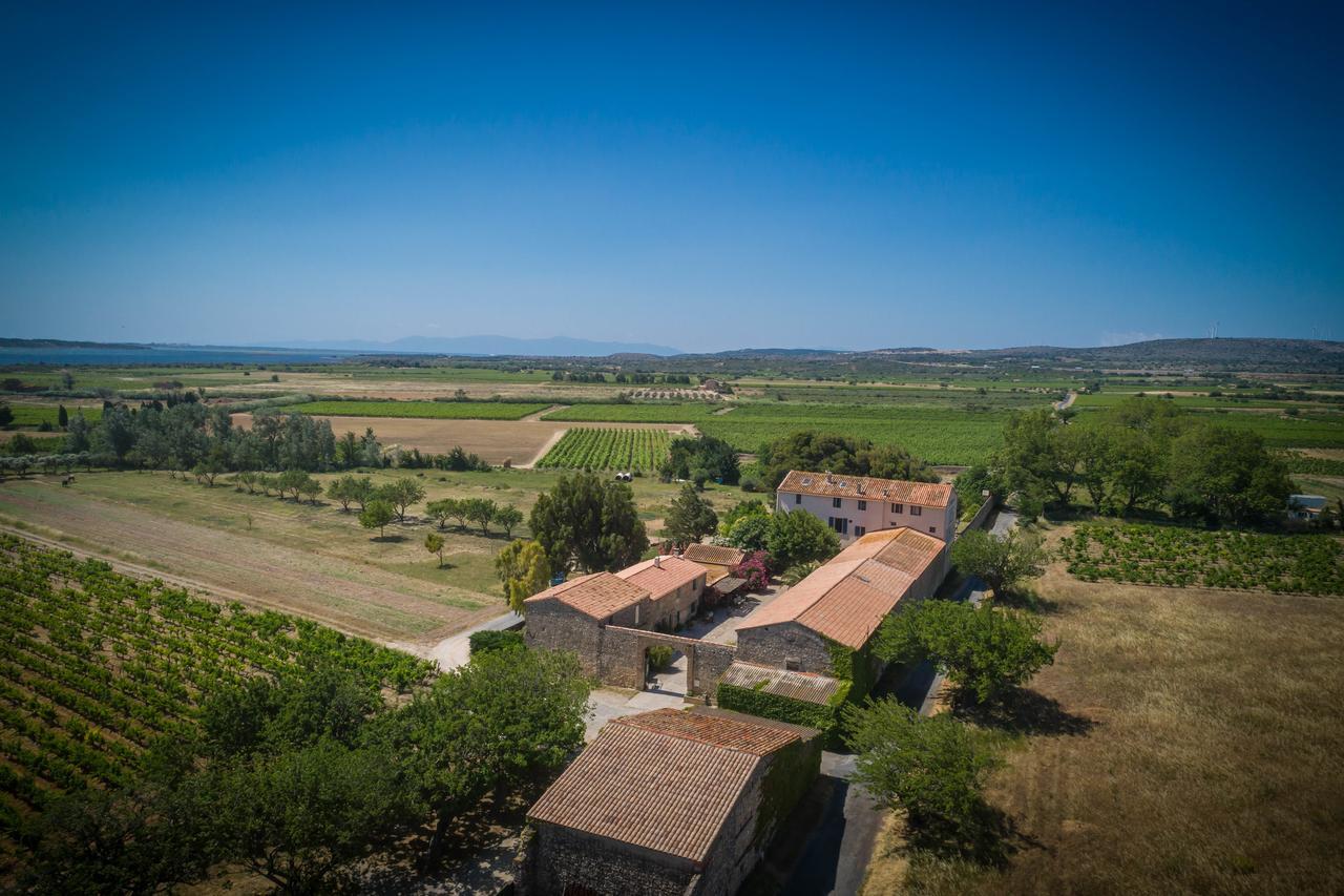 Les Fenals Villa Fitou Exterior photo